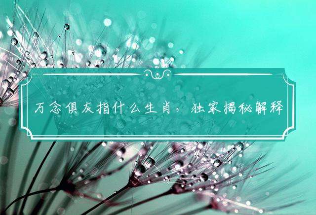 万念俱灰指什么生肖,独家揭秘解释落实