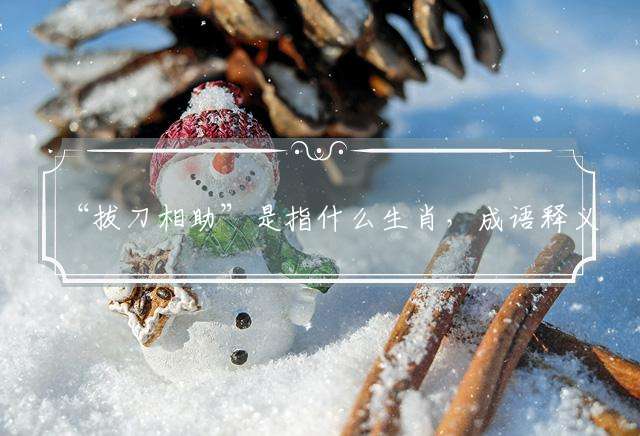 “拔刀相助”是指什么生肖,成语释义解释详解落实