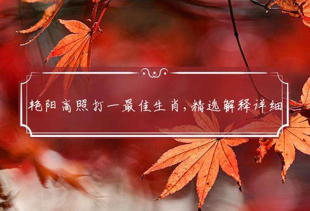 艳阳高照打一最佳生肖,精选解释详细落实