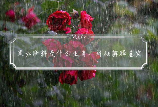 果如所料是什么生肖，详细解释落实释义