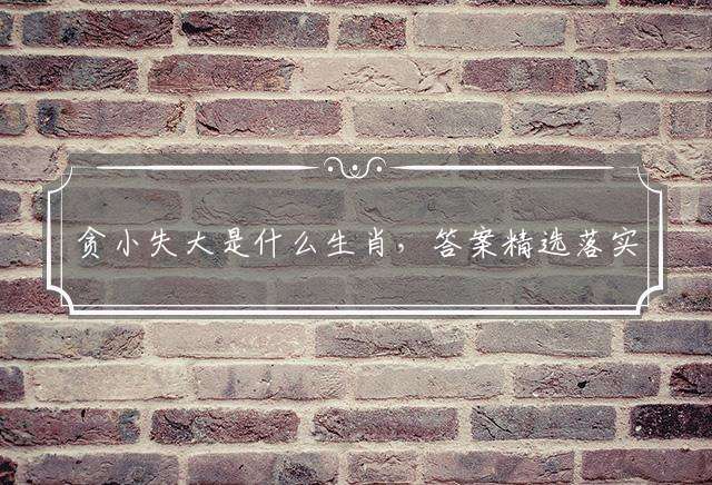 贪小失大是什么生肖,答案精选落实