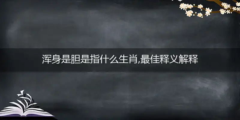 浑身是胆是什么生肖