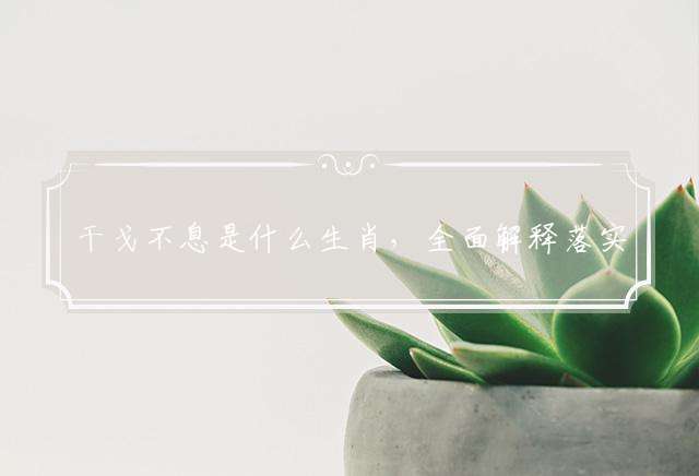 干戈不息是什么生肖,全面解释落实