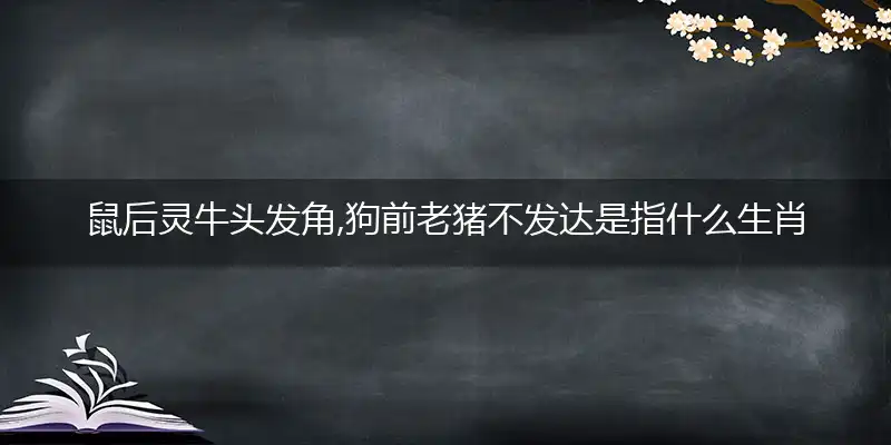 鼠后灵牛头发角,狗前老猪不发达是什么生肖