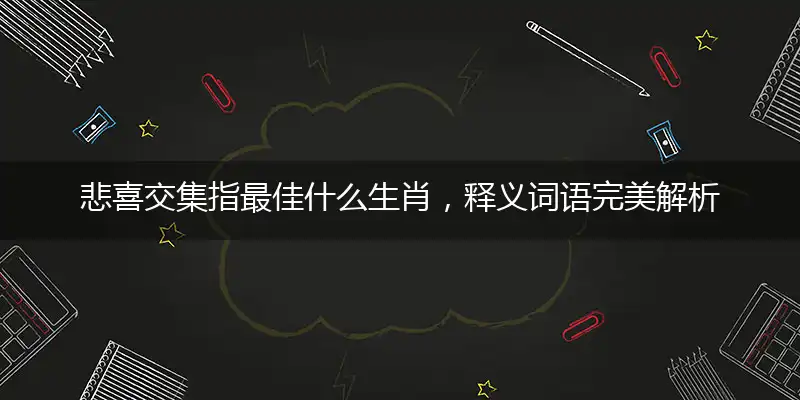 悲喜交集是什么生肖