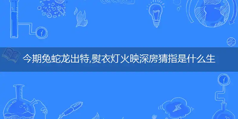 今期兔蛇龙出特,熨衣灯火映深房是什么生肖