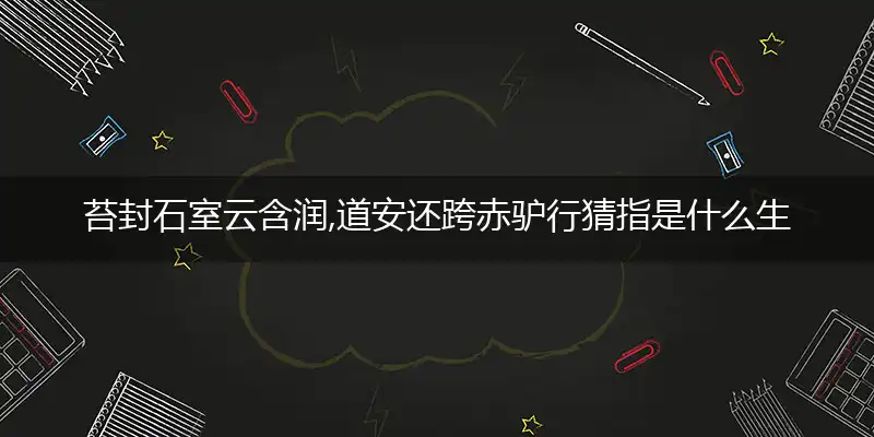 苔封石室云含润,道安还跨赤驴行是什么生肖